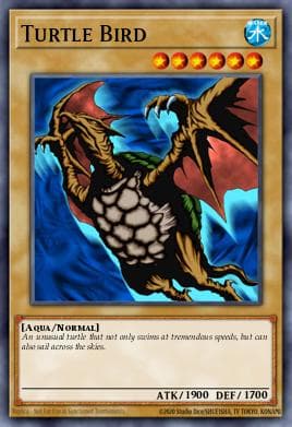 Turtle Bird